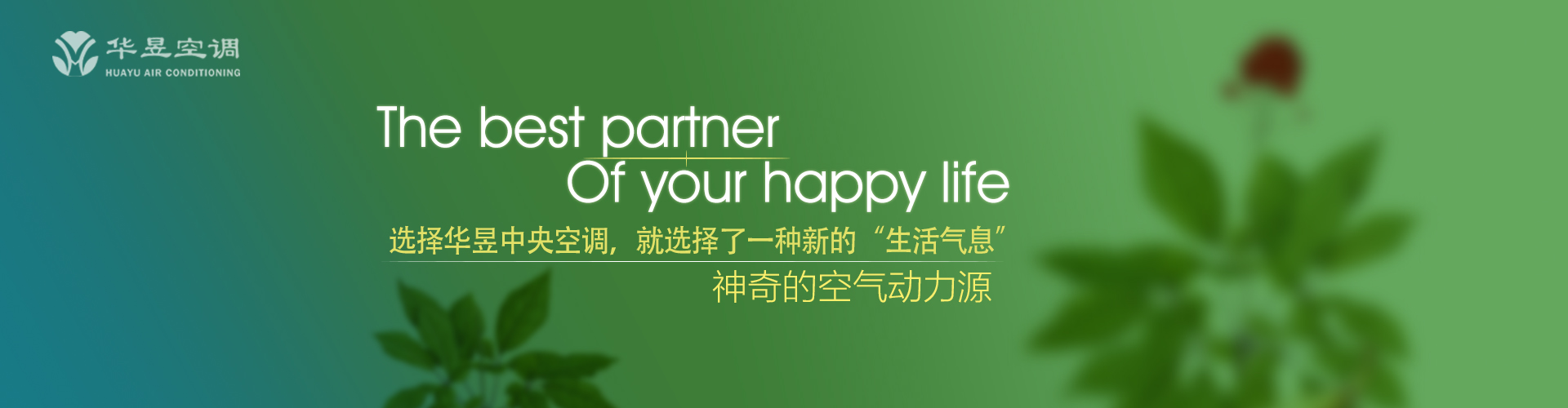 萍飘蓬转网